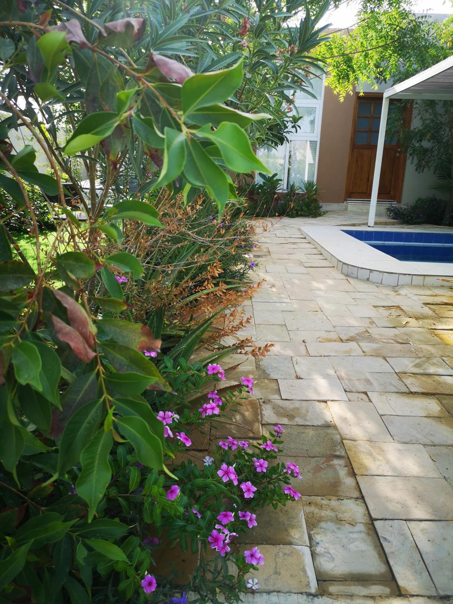 Chalet Little Garden Private Pool